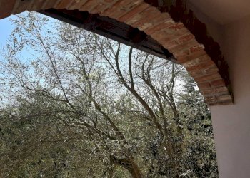 Interno palazzo - Rustico Regione Baldizzone, 8, Terzo - foto 3