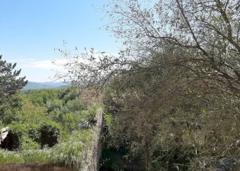 Terreno - Rustico Regione Baldizzone, 8, Terzo - foto 18