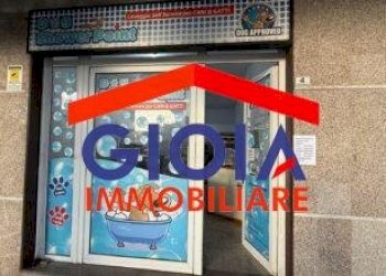 Negozio Mondragone - foto 10