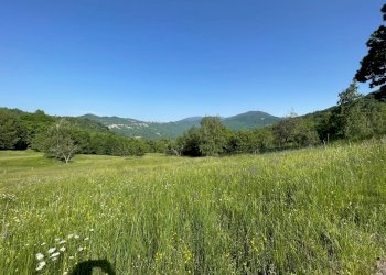 Trilocale Montaldo di Mondovì, Via Privata alle Cinque Stelle, Montaldo di Mondovì - foto 21