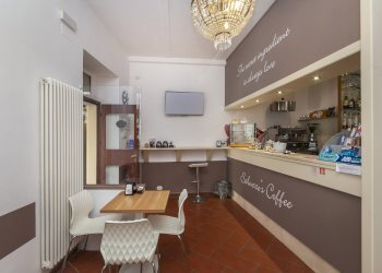 Bar Tavola Calda - Fredda Via San Francesco d'Assisi, 25, Saluzzo - foto 12