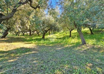 Casa indipendente Via giordano bruno, Tavoleto - foto 19