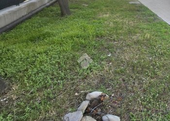 Trilocale Viale Sirte, Rimini - foto 1