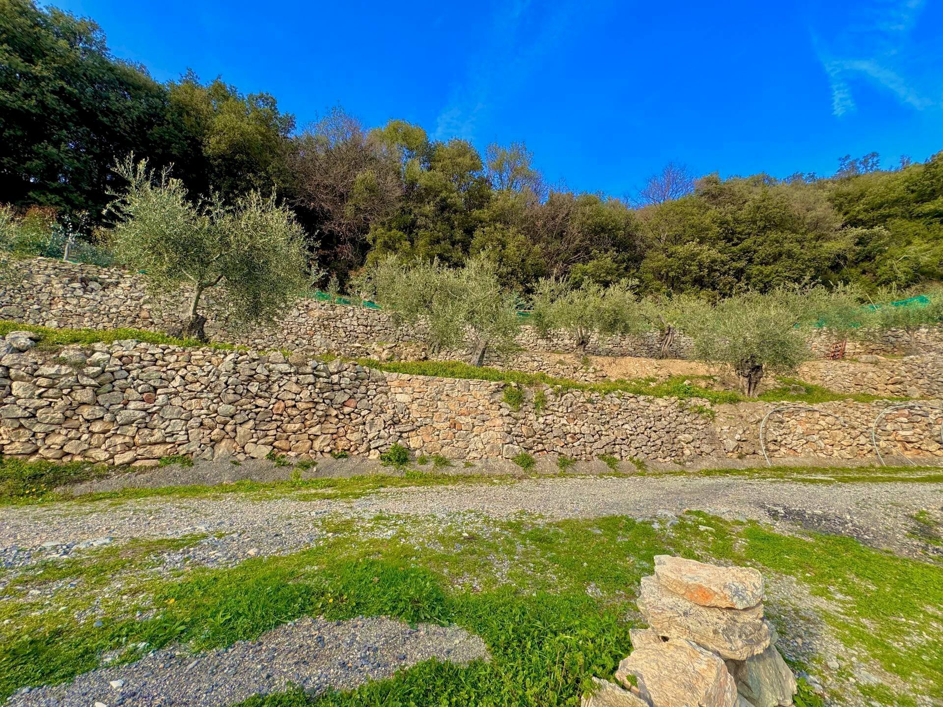 Foto 2 - Agricultural land via fornaci, Giustenice - photo 2