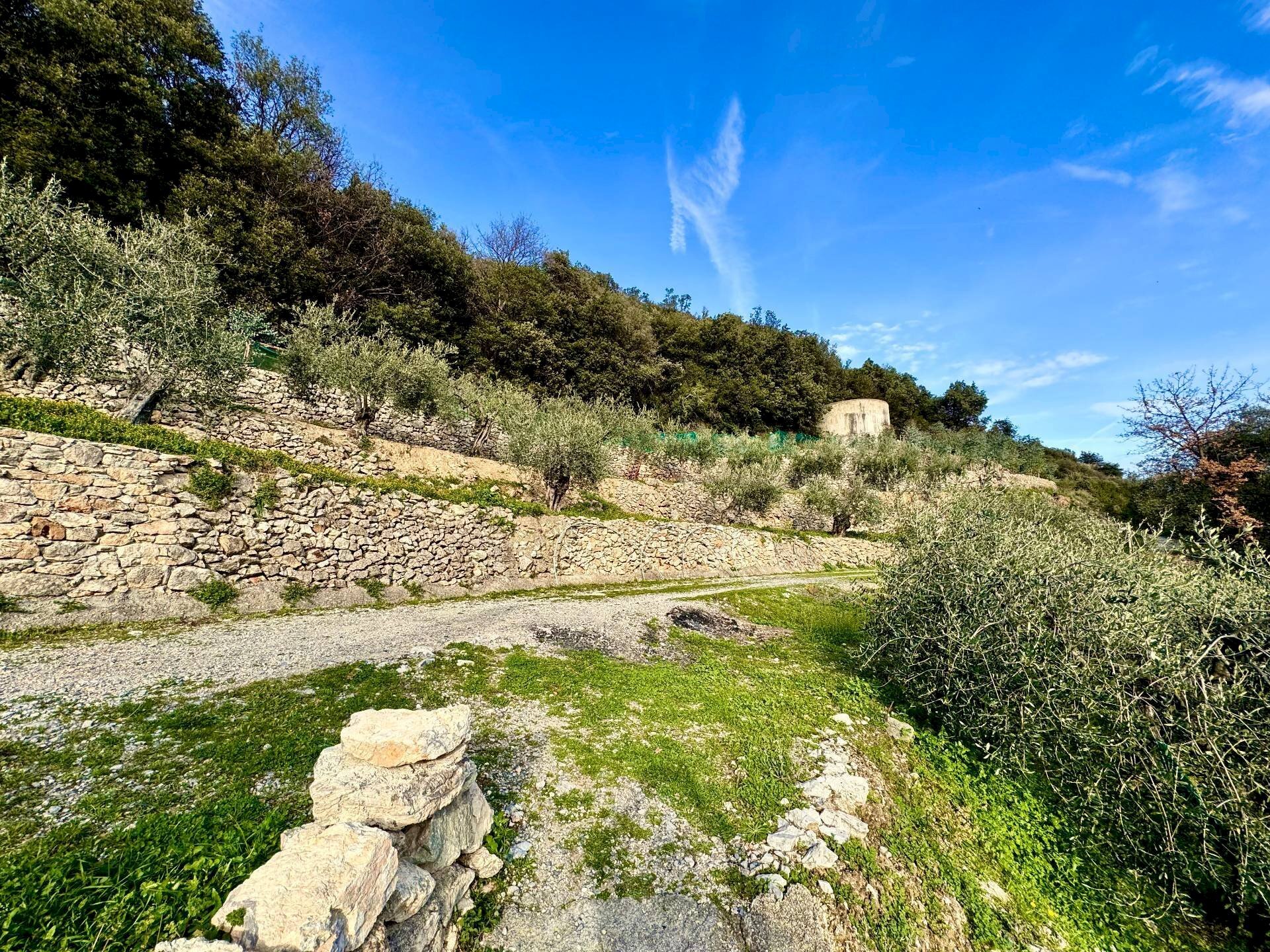 Foto 3 - Agricultural land via fornaci, Giustenice - photo 3