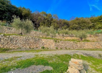 Foto 2 - Agricultural land via fornaci, Giustenice - photo 2