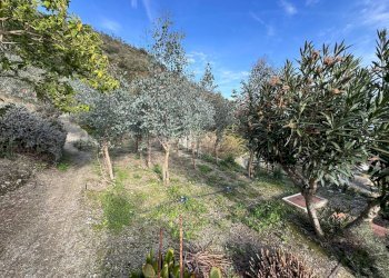 Foto 4 - Agricultural land via fornaci, Giustenice - photo 4