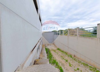 Giardino - Capannone Via San Sabino, Mola di Bari - foto 6