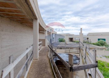 Terrazza - Capannone Via San Sabino, Mola di Bari - foto 19