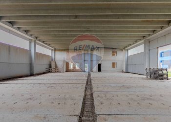 Parcheggio - Capannone Via San Sabino, Mola di Bari - foto 23