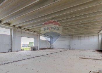 Terrazza - Capannone Via San Sabino, Mola di Bari - foto 25