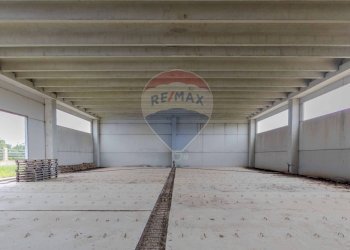 Terrazza - Capannone Via San Sabino, Mola di Bari - foto 26