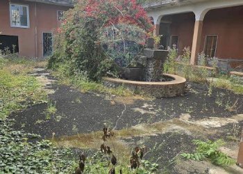 Giardino - Stabile - Palazzo Via Regina del Cielo/Piazza Padre Pio
145, Fiumefreddo di Sicilia - foto 2