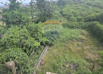 Giardino - Stabile - Palazzo Via Regina del Cielo/Piazza Padre Pio
145, Fiumefreddo di Sicilia - foto 5