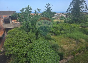 Giardino - Stabile - Palazzo Via Regina del Cielo/Piazza Padre Pio
145, Fiumefreddo di Sicilia - foto 20