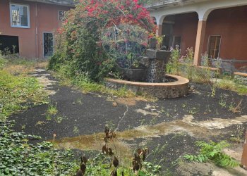 Giardino - Stabile - Palazzo Via Regina del Cielo/Piazza Padre Pio
145, Fiumefreddo di Sicilia - foto 24