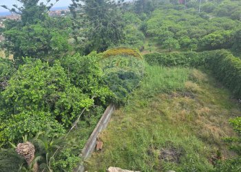 Giardino - Stabile - Palazzo Via Regina del Cielo/Piazza Padre Pio
145, Fiumefreddo di Sicilia - foto 28