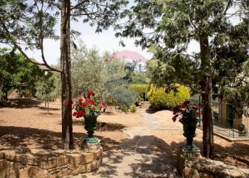 Giardino - Villa Strada Provinciale 12
 
sn, Piazza Armerina - foto 21