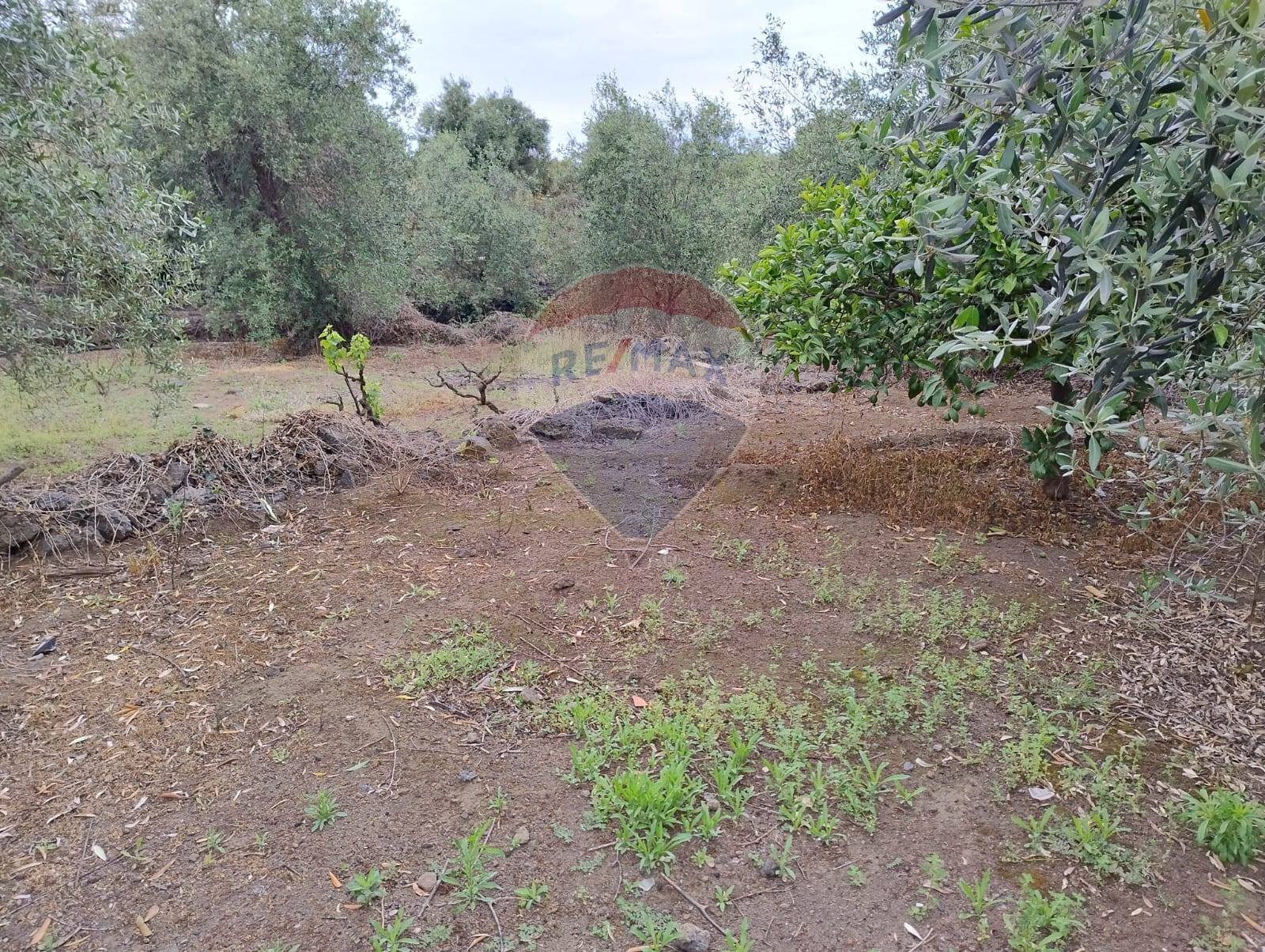 Giardino - Agricultural land VIA CAPRICORNO
 
16, Catania - photo 2