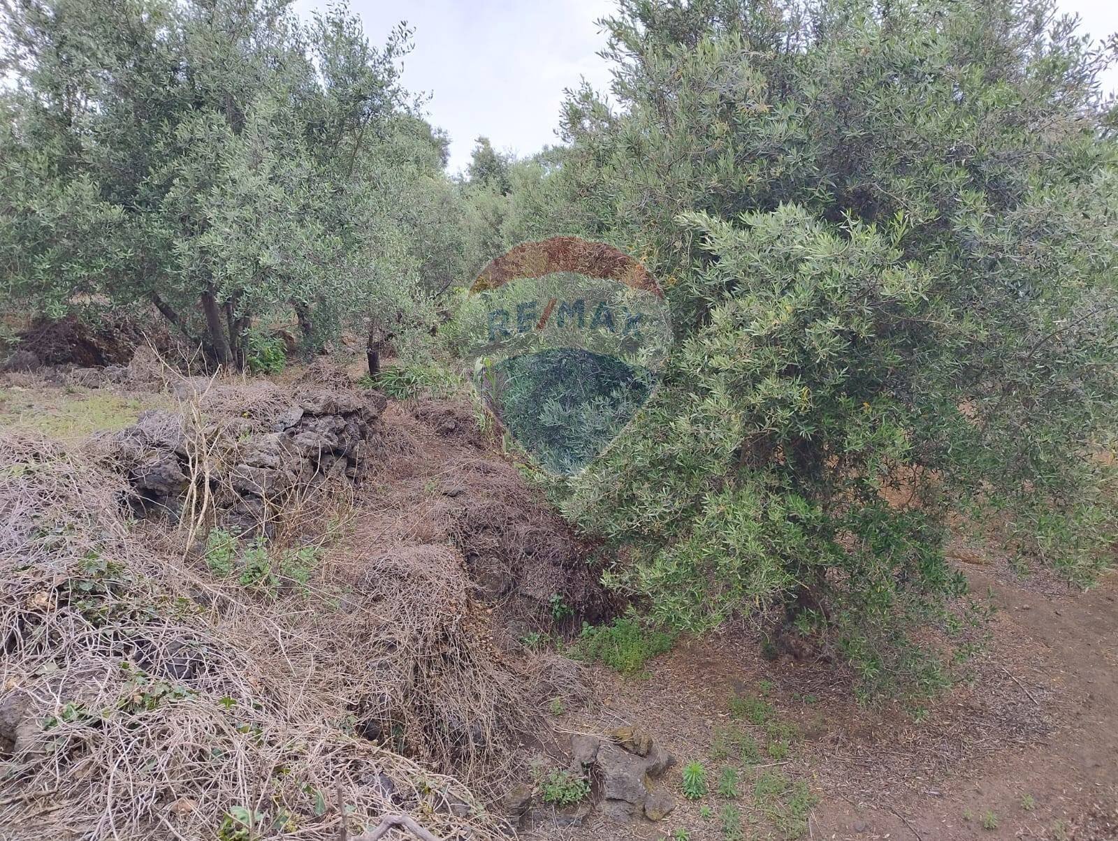 Giardino - Agricultural land VIA CAPRICORNO
 
16, Catania - photo 3