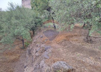 Giardino - Agricultural land VIA CAPRICORNO
 
16, Catania - photo 5