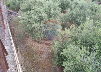 Non correlato - Agricultural land VIA CAPRICORNO
 
16, Catania - photo 7