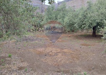 Giardino - Agricultural land VIA CAPRICORNO
 
16, Catania - photo 8