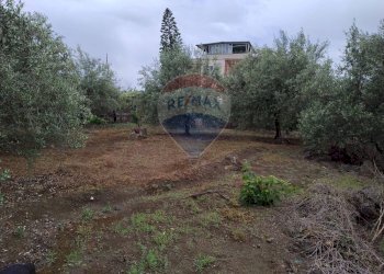 Giardino - Agricultural land VIA CAPRICORNO
 
16, Catania - photo 9