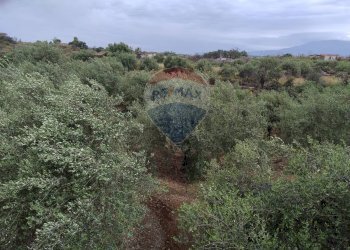 Vista delle montagne - Agricultural land VIA CAPRICORNO
 
16, Catania - photo 10