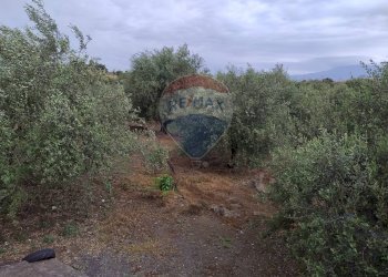 Giardino - Agricultural land VIA CAPRICORNO
 
16, Catania - photo 11