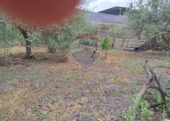 Giardino - Agricultural land VIA CAPRICORNO
 
16, Catania - photo 12