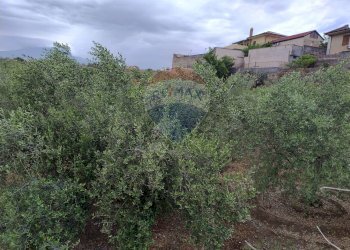 Giardino - Agricultural land VIA CAPRICORNO
 
16, Catania - photo 13