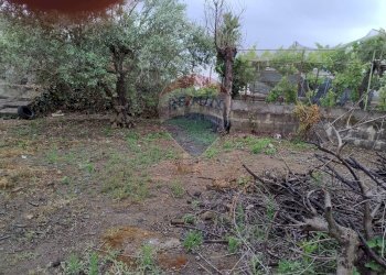 Giardino - Agricultural land VIA CAPRICORNO
 
16, Catania - photo 14