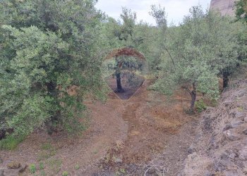 Giardino - Agricultural land VIA CAPRICORNO
 
16, Catania - photo 15