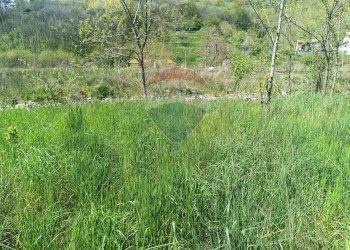 Giardino - Casa semi indipendente via Vico
 
2, Mallare - foto 59