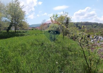 Giardino - Casa semi indipendente via Vico
 
2, Mallare - foto 61