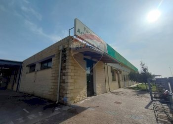 Edificio all\'aperto - Capannone VIa Compagnoni
 
21/23, Tresignana - foto 5