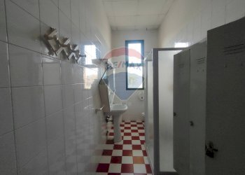 Bagno - Capannone VIa Compagnoni
 
21/23, Tresignana - foto 10