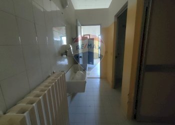 Bagno - Capannone VIa Compagnoni
 
21/23, Tresignana - foto 17