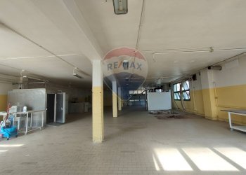 Parcheggio - Capannone VIa Compagnoni
 
21/23, Tresignana - foto 24