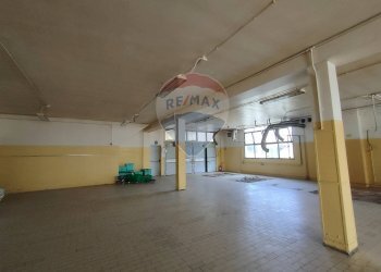 Parcheggio - Capannone VIa Compagnoni
 
21/23, Tresignana - foto 25