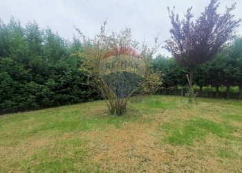 Giardino - Villa Via Po
 
108, Copparo - foto 45