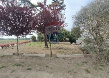 Giardino - Casa semi indipendente via Canalona
 
5, Jolanda di Savoia - foto 6