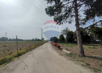 Non correlato - Casa semi indipendente via Canalona
 
5, Jolanda di Savoia - foto 7