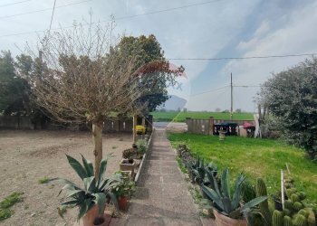 Giardino - Casa semi indipendente via Canalona
 
5, Jolanda di Savoia - foto 8