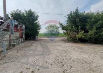 Giardino - Casa semi indipendente via Canalona
 
5, Jolanda di Savoia - foto 12