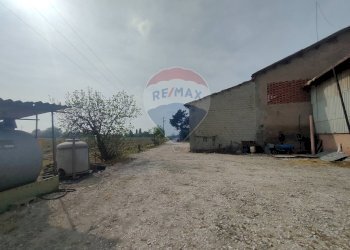 Casa all\'aperto - Casa semi indipendente via Canalona
 
5, Jolanda di Savoia - foto 22