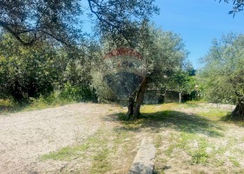 Giardino - Casa indipendente Via del Tellesimo - San Giacomo
 
24, Ragusa - foto 11