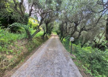 Foto 28 - Villa Via del Pezzigno
 
16, Camaiore - foto 28