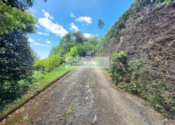 Foto 29 - Villa Via del Pezzigno
 
16, Camaiore - foto 29